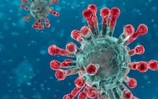 Njoftim mbi masat mbrojtëse kundër virusit Covid-19 (Koronavirus) Njoftim mbi masat mbrojtëse kundër virusit Covid-19 (Koronavirus)