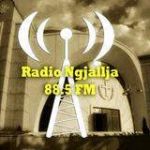 Radio “Ngjallja” transmeton drejtpërdrejt shërbesat e Javës së Madhe që kryhen në Tiranë. (16 Prill 2014) Radio “Ngjallja” transmeton drejtpërdrejt shërbesat e Javës së Madhe që kryhen në Tiranë. (16 Prill 2014)