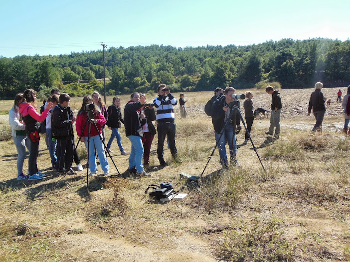 Celebration of the 20th Anniversary of the Balkan Orthodox Youth Association-BOYA. (3 - 6 October 2013)