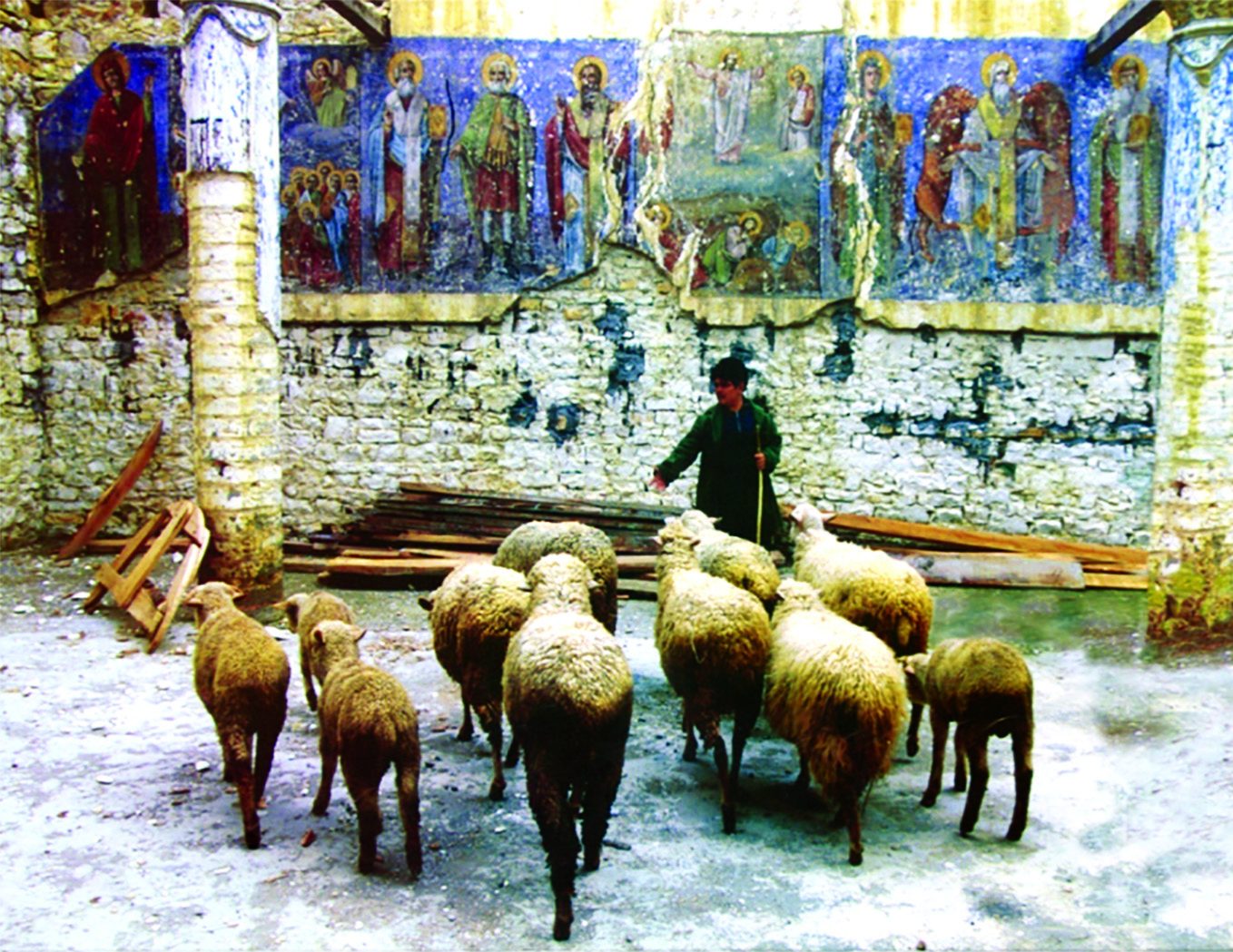 Shqipëri 1967-90: Shndërrimi i kishave dhe manastireve në vende kullotjeje.